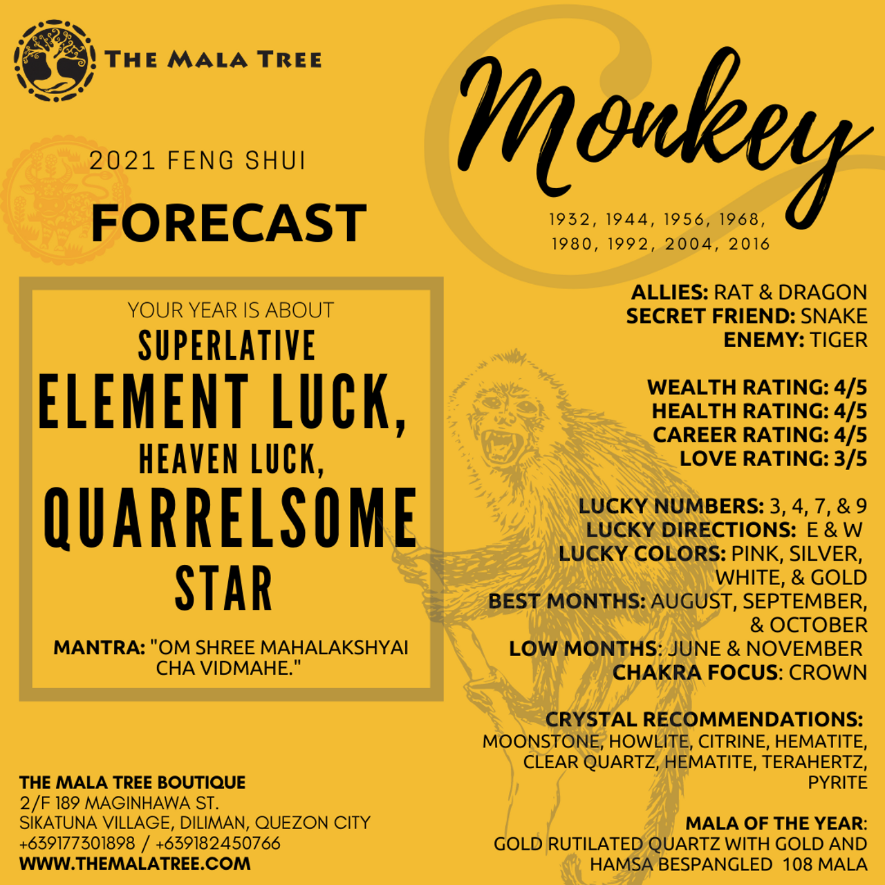 MONKEY in 2021 MONKEY in 2021